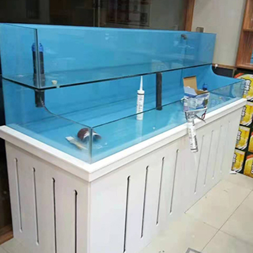 海鲜鱼缸
