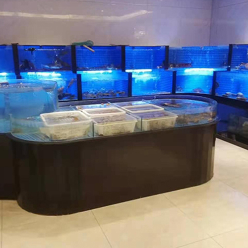 海鲜鱼缸