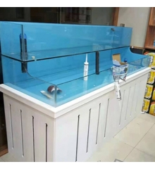 海鲜鱼缸