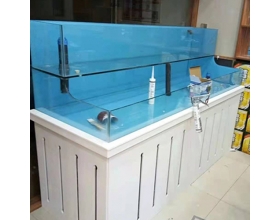 海鲜鱼缸